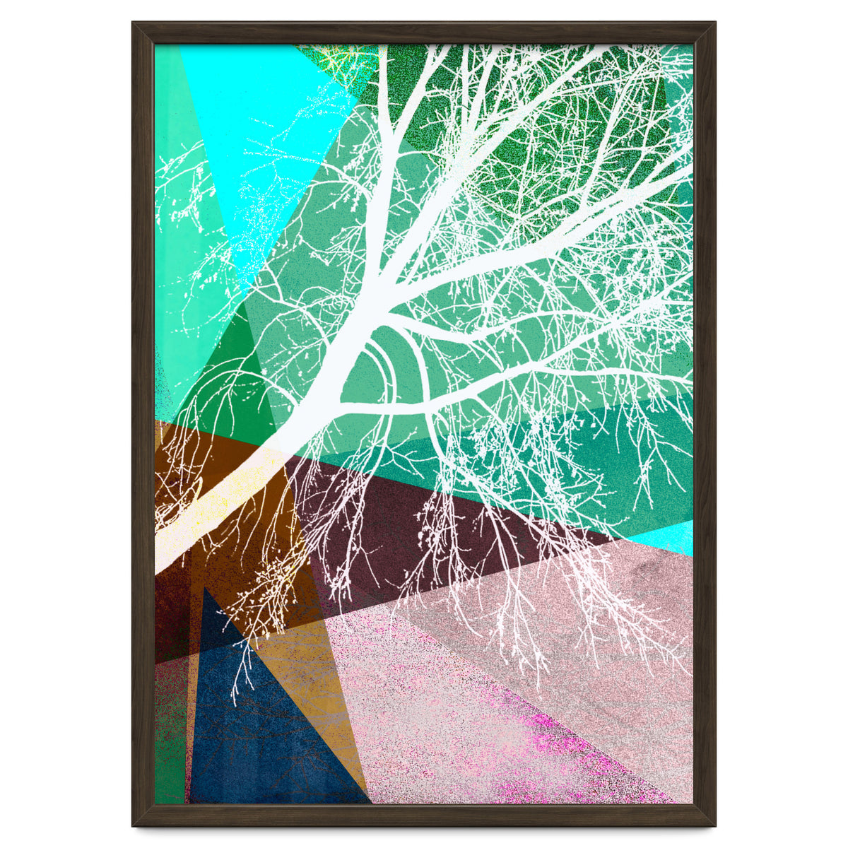 P16-H Trees And Triangles