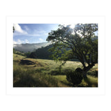 Henry Coe I (Print Only) thumbnail
