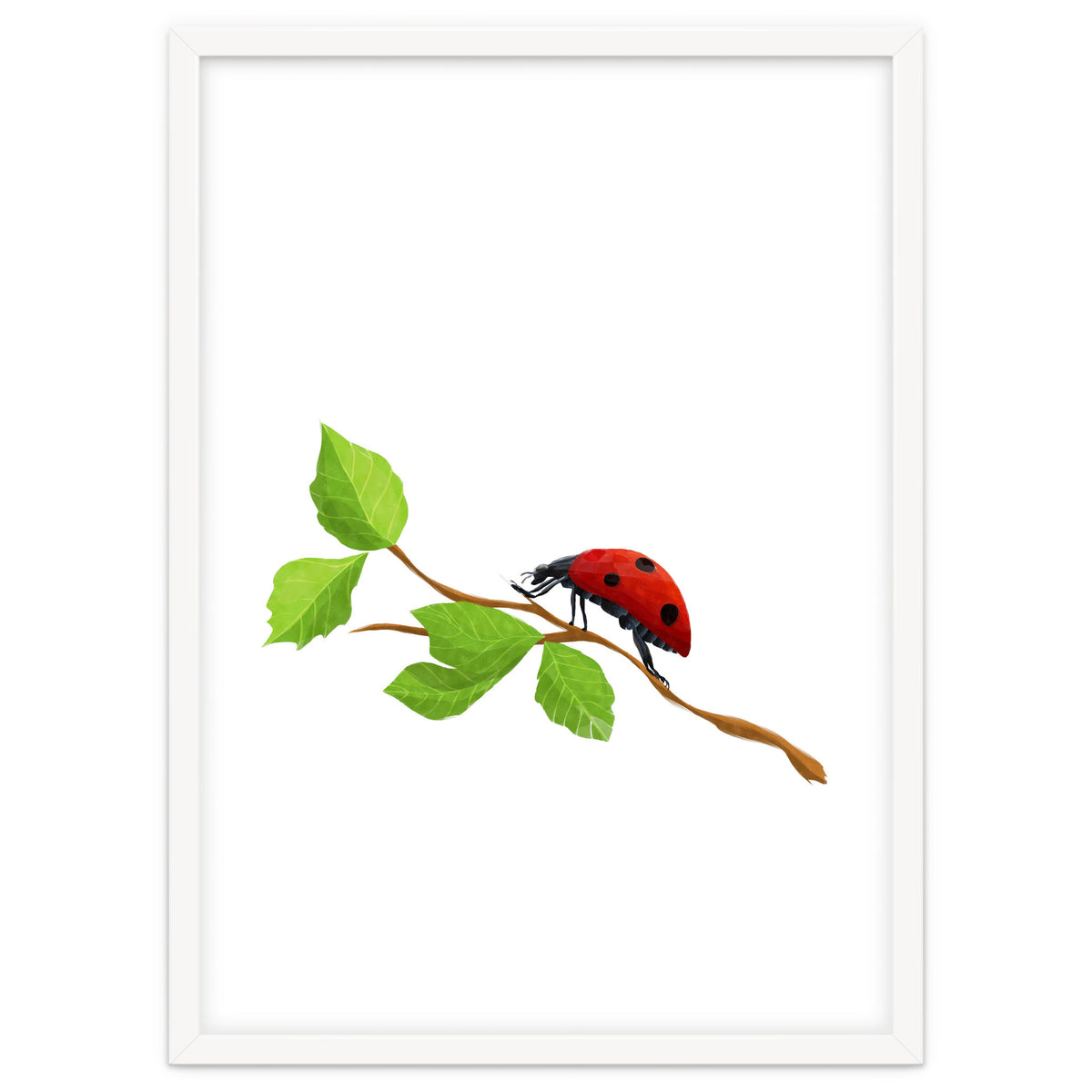 Ladybug