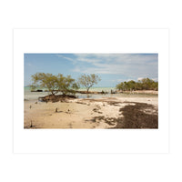 Yucatan beach (Print Only)