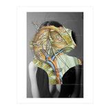 Crazy Woman 210 (Print Only) thumbnail