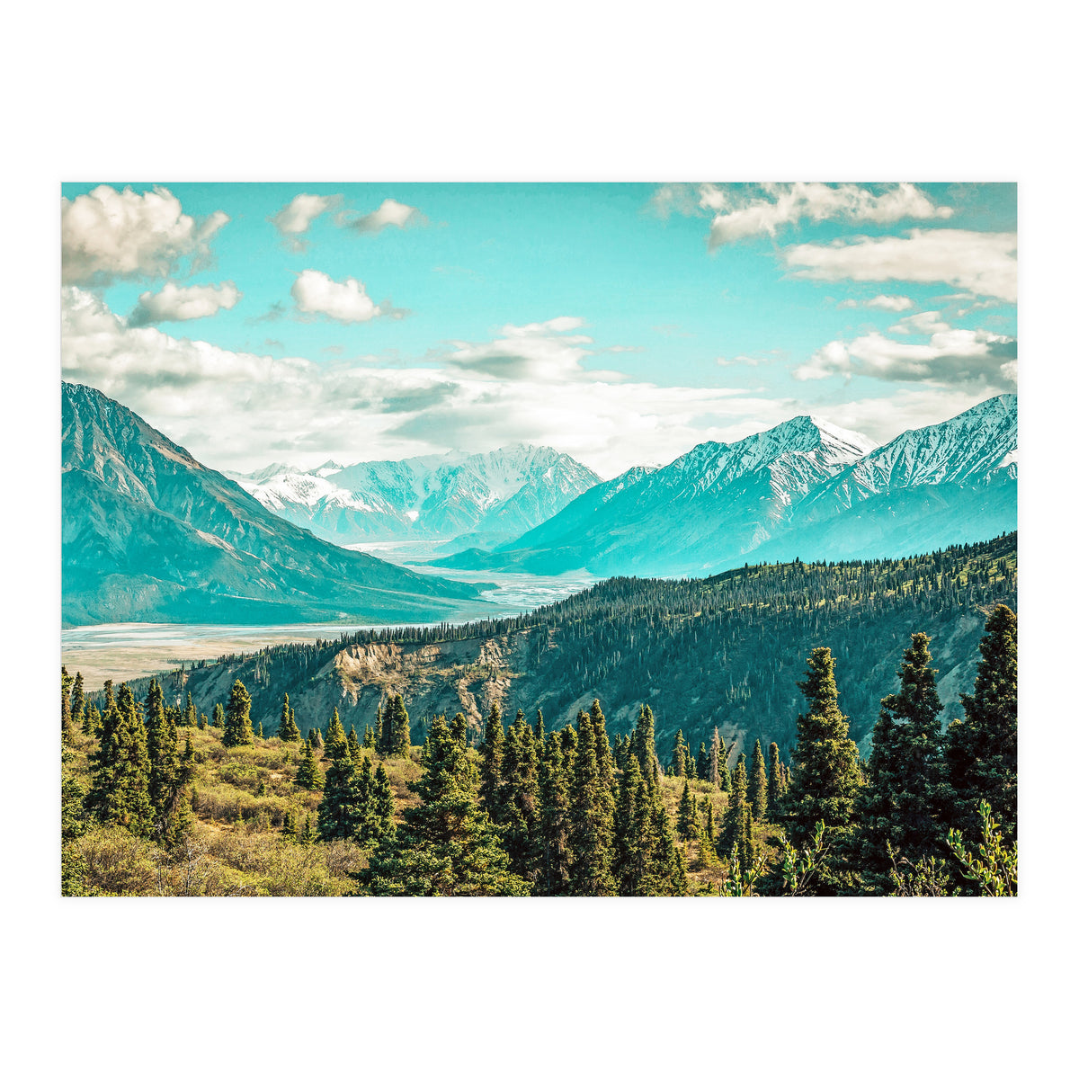 Scenic (Print Only)