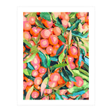 Fruit Garden, Tropical Forest Botanical Painting, Plants Vintage Nature  (Print Only) thumbnail