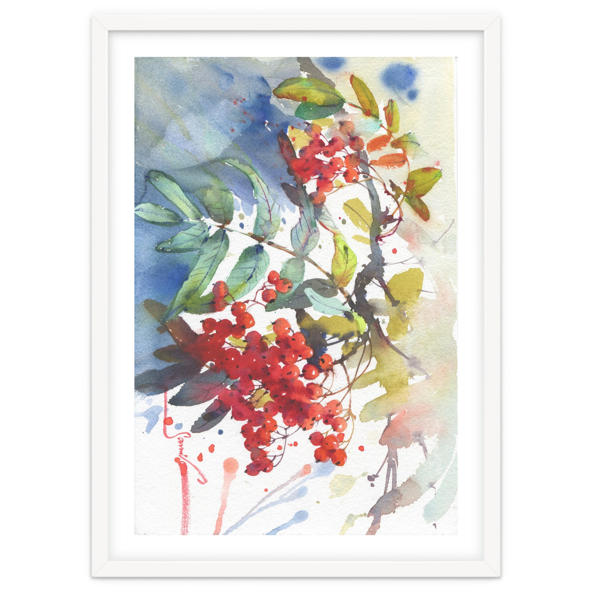 Viburnum / Guelder rose