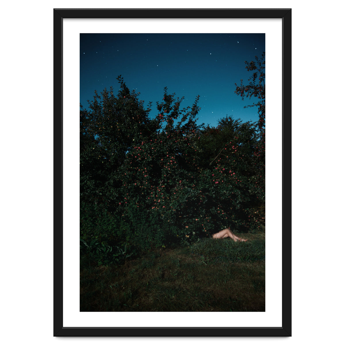 The Cider House Legs