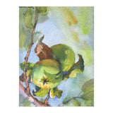 Apples on a branch (Print Only) thumbnail