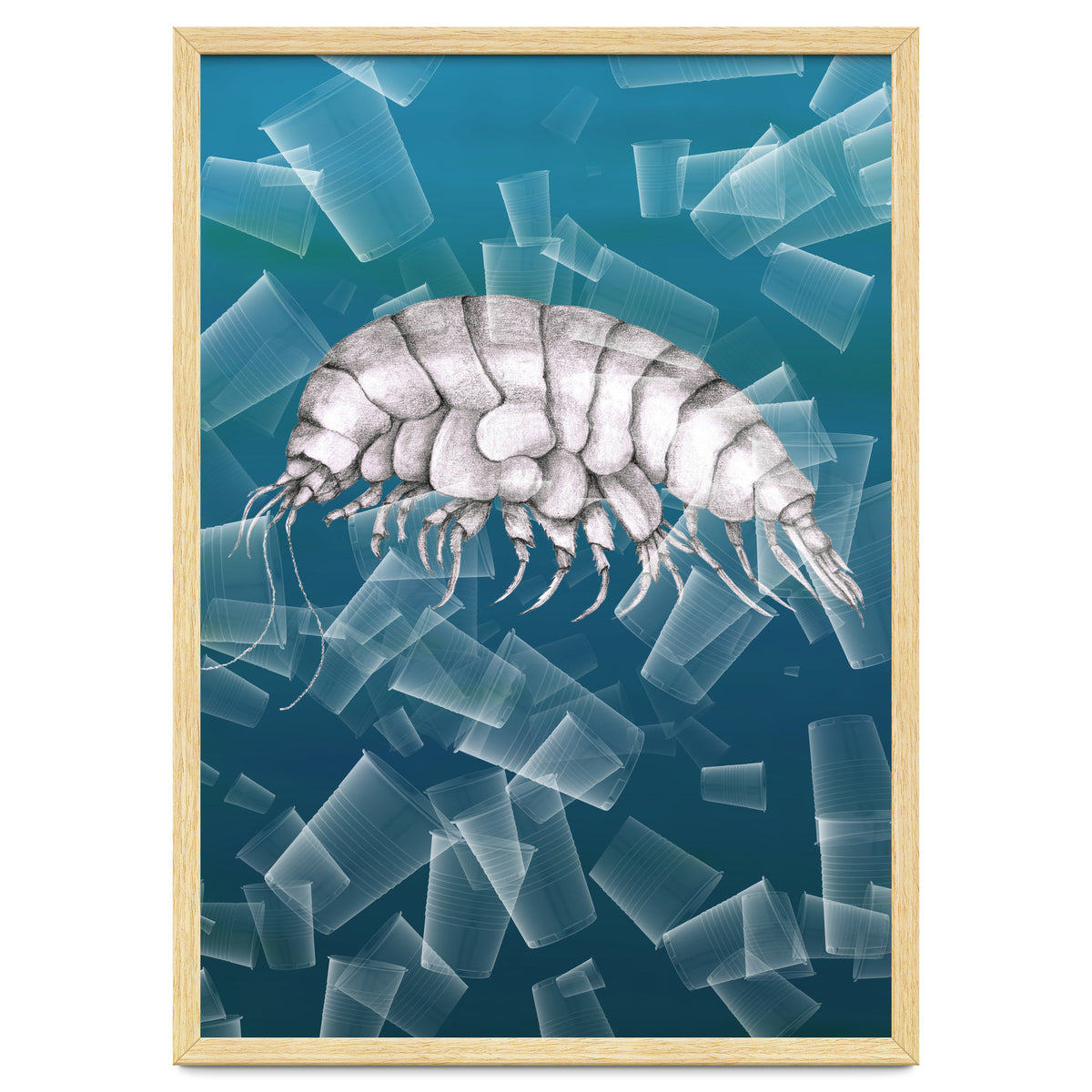 Eurythenes Plasticus