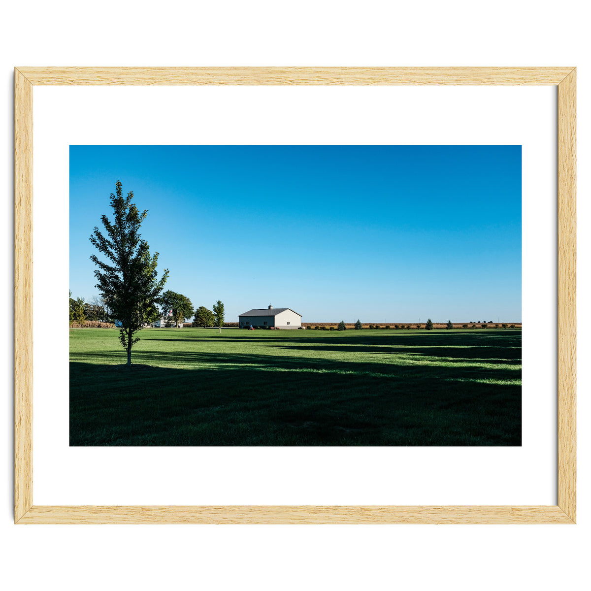 Summer evening, rural Illinois