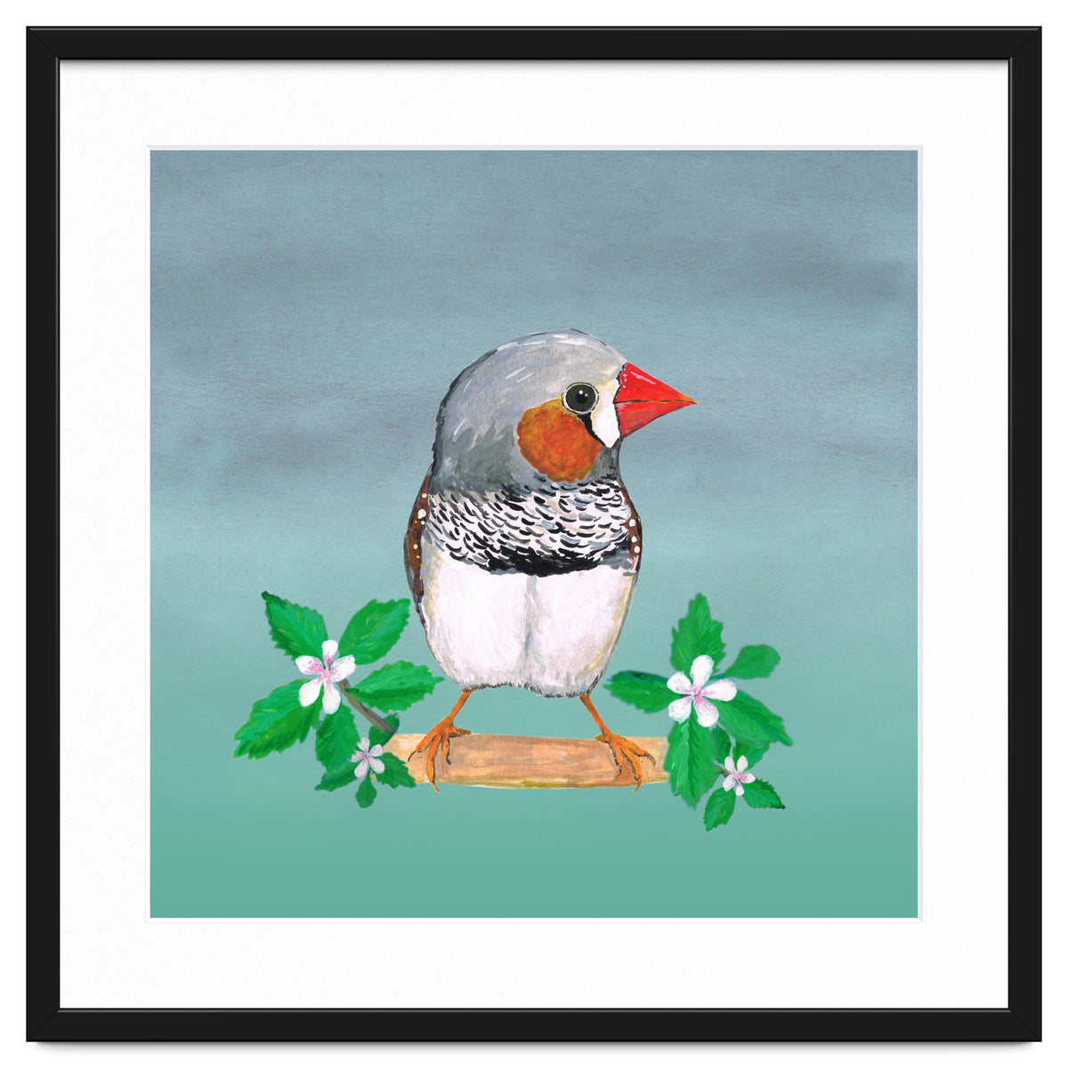 Zebra finch