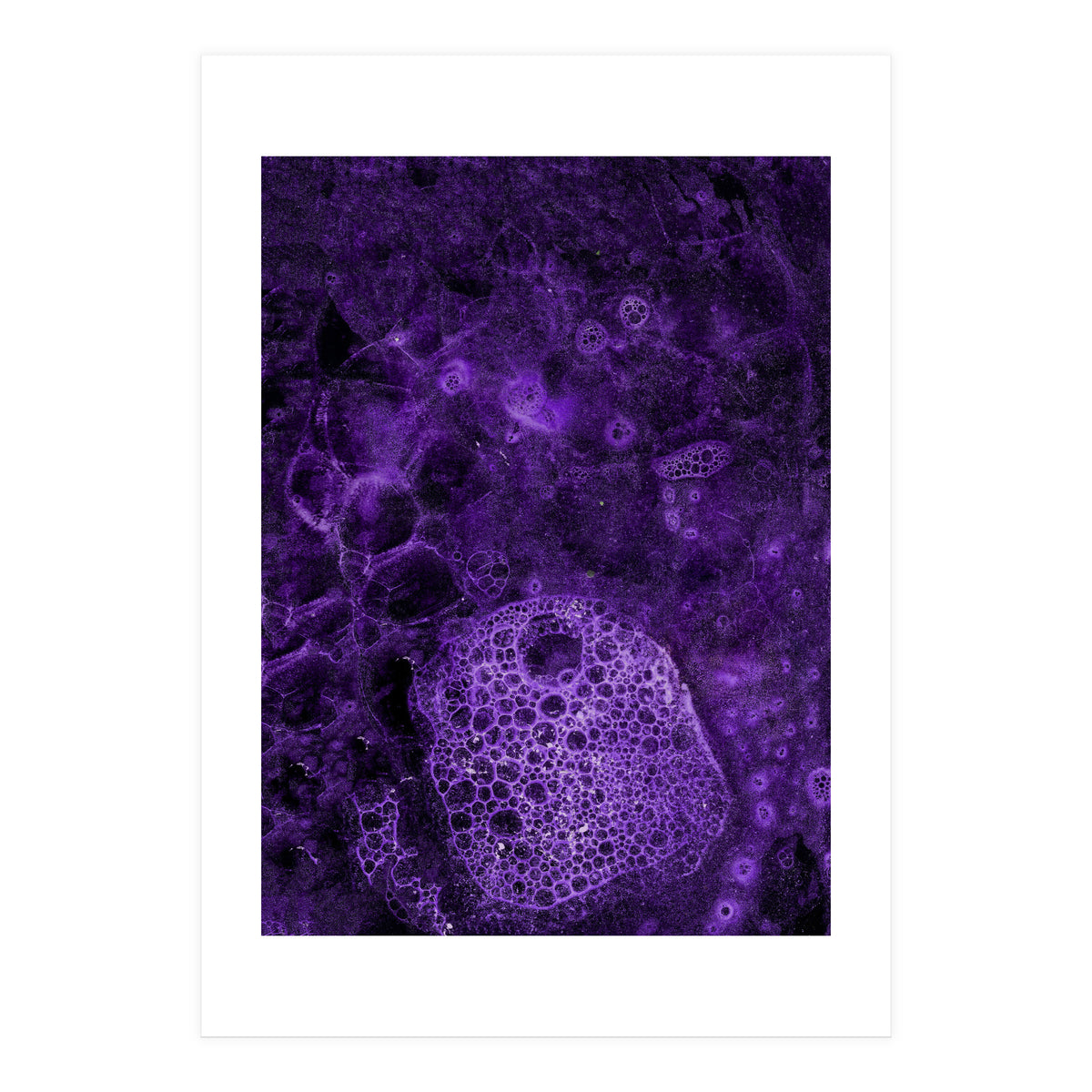 Deep purple (Print Only)