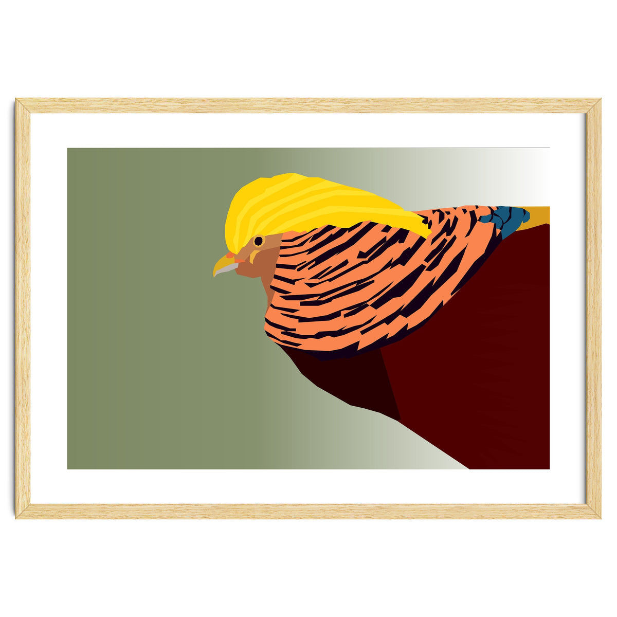 Golden Pheasant Bird Art