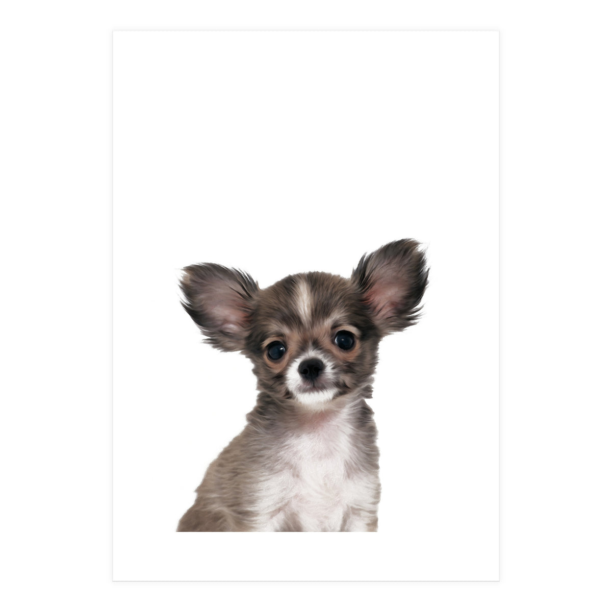 Chihuahua (Print Only)