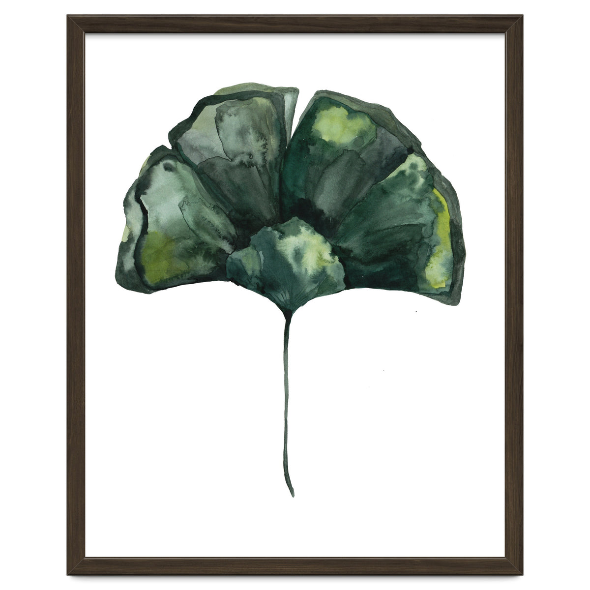 Botanical Illustration Ginko