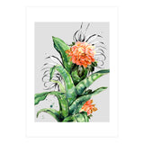 Collage of florid nature  (Print Only) thumbnail