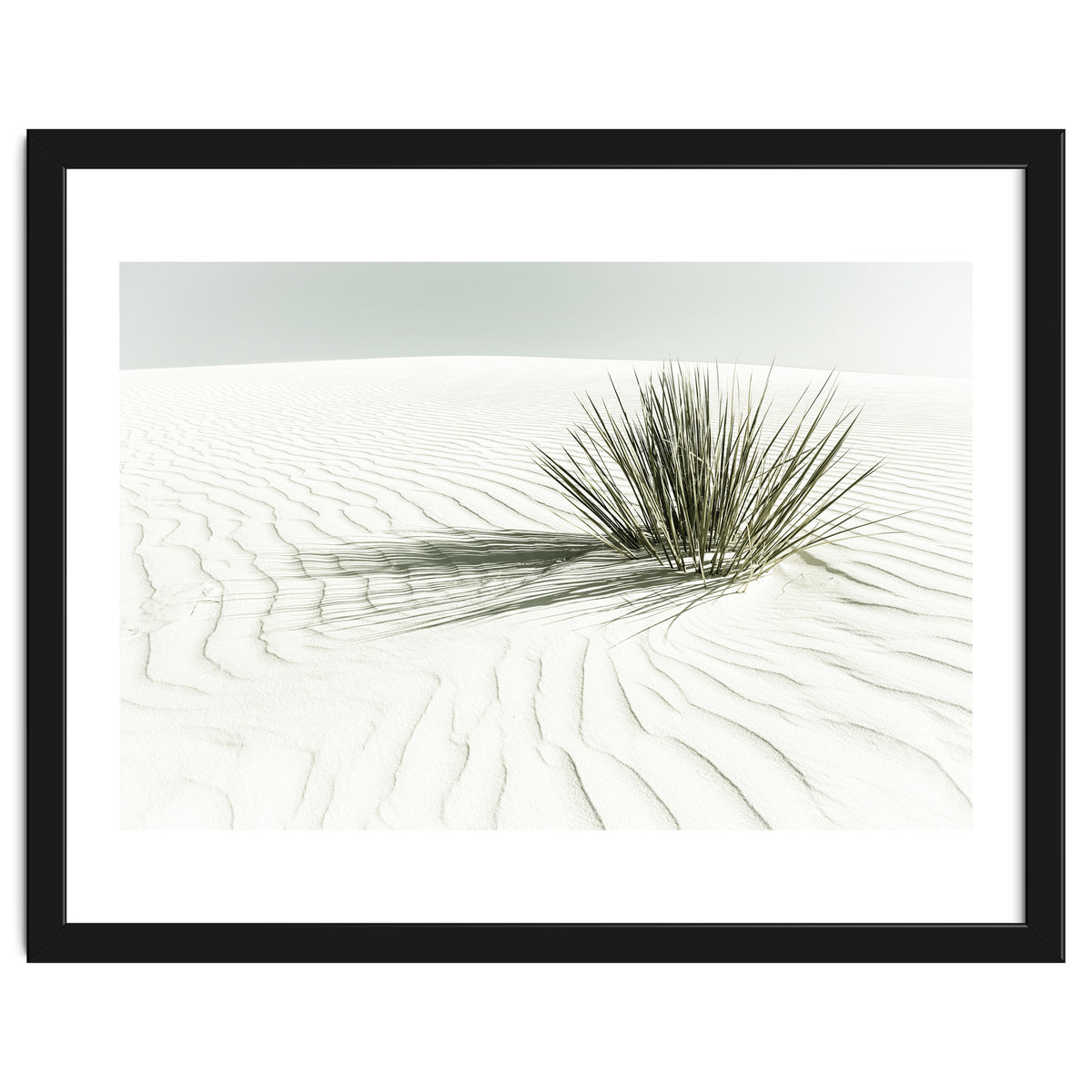 WHITE SANDS Idyllic scenery | Vintage