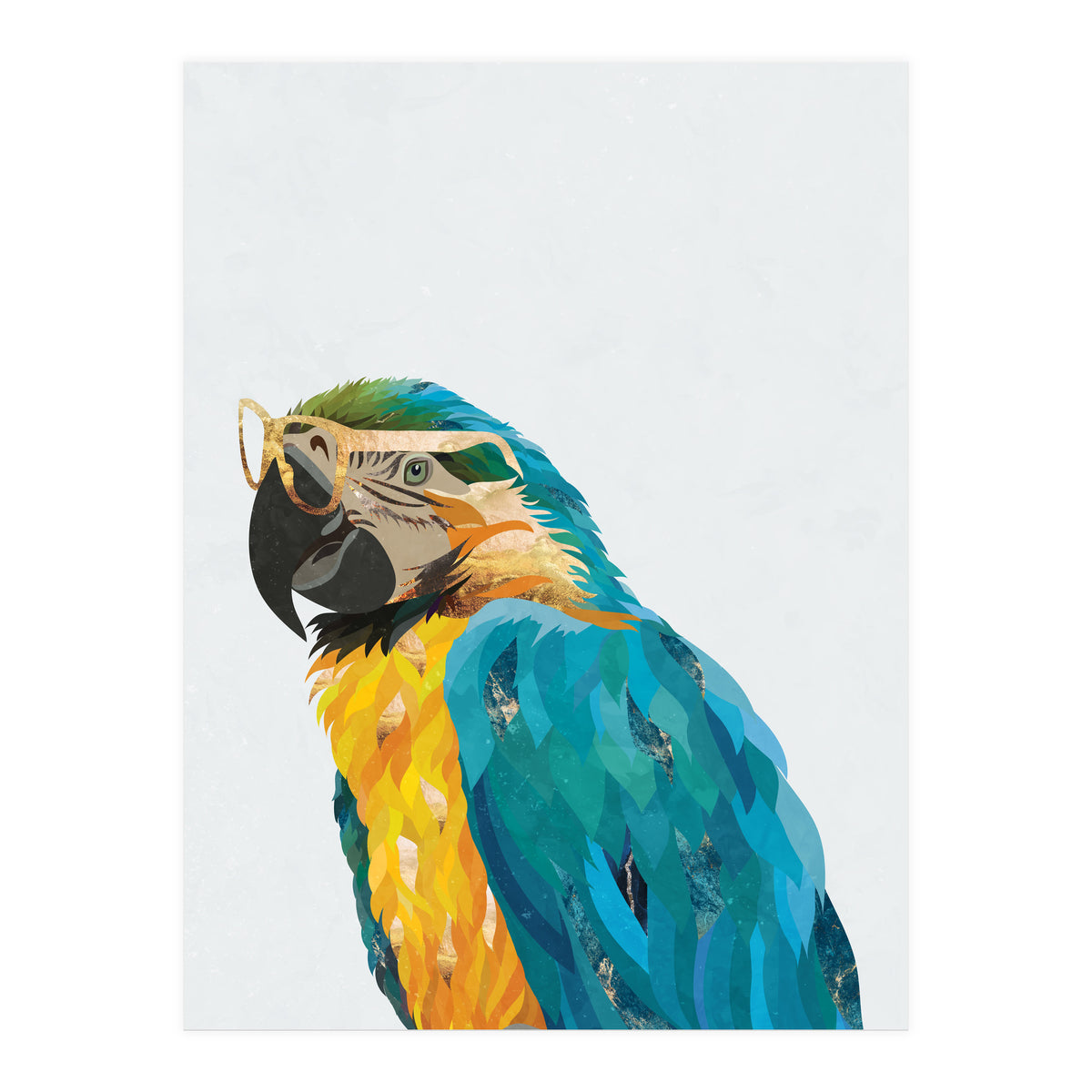 Macaw Portrait wearing gold glasses (Print Only)