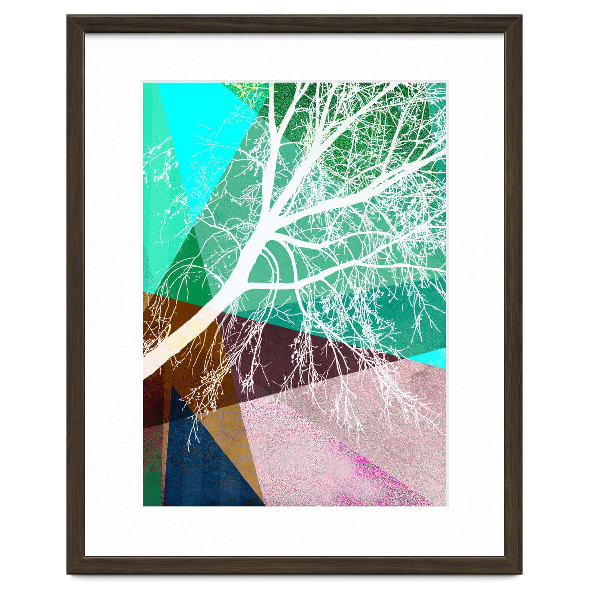 P16-H Trees And Triangles