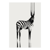 Zebra  (Print Only) thumbnail