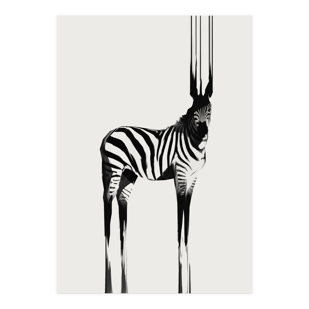 Zebra  (Print Only)