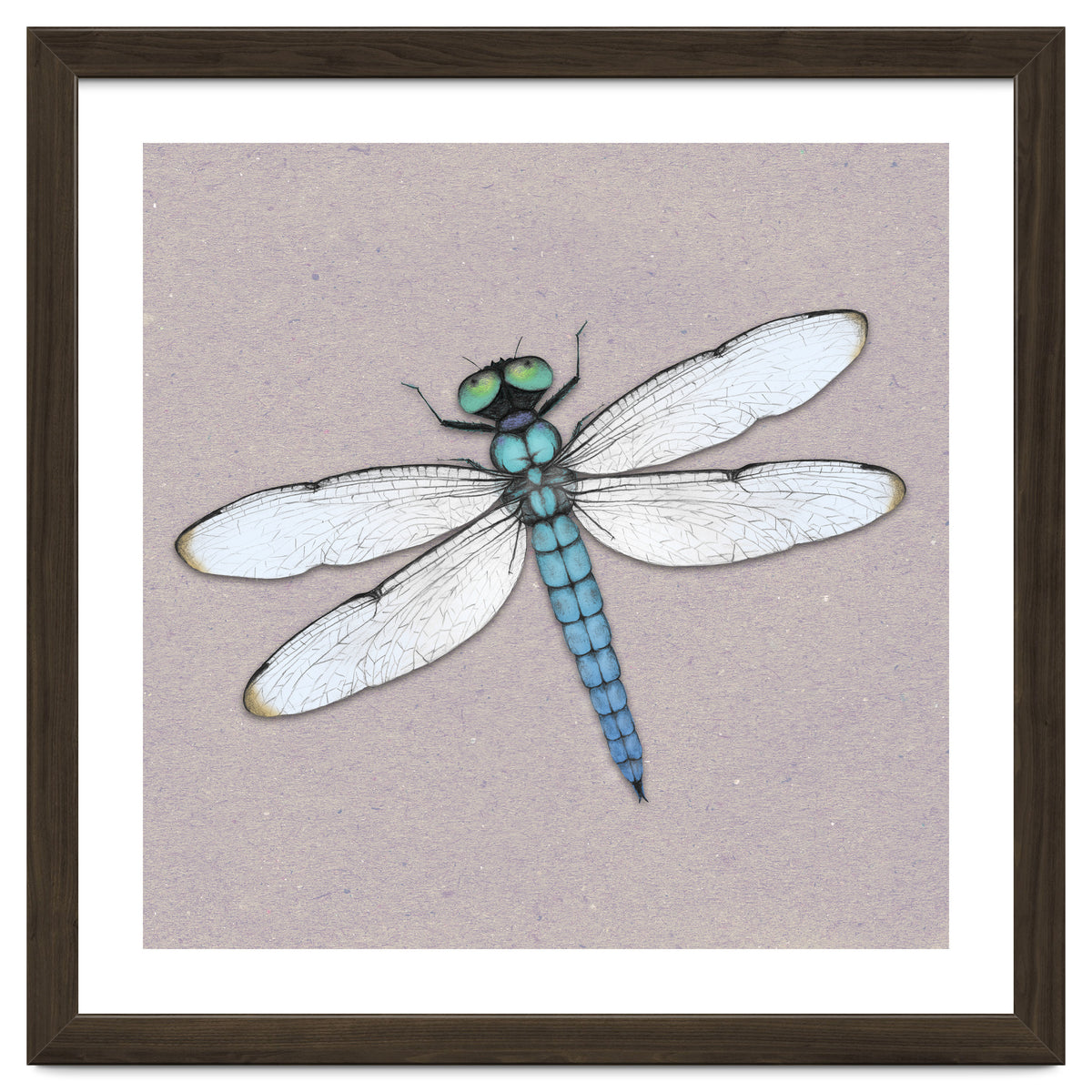 Blue dragonfly