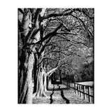 Light and shadows (Print Only) thumbnail