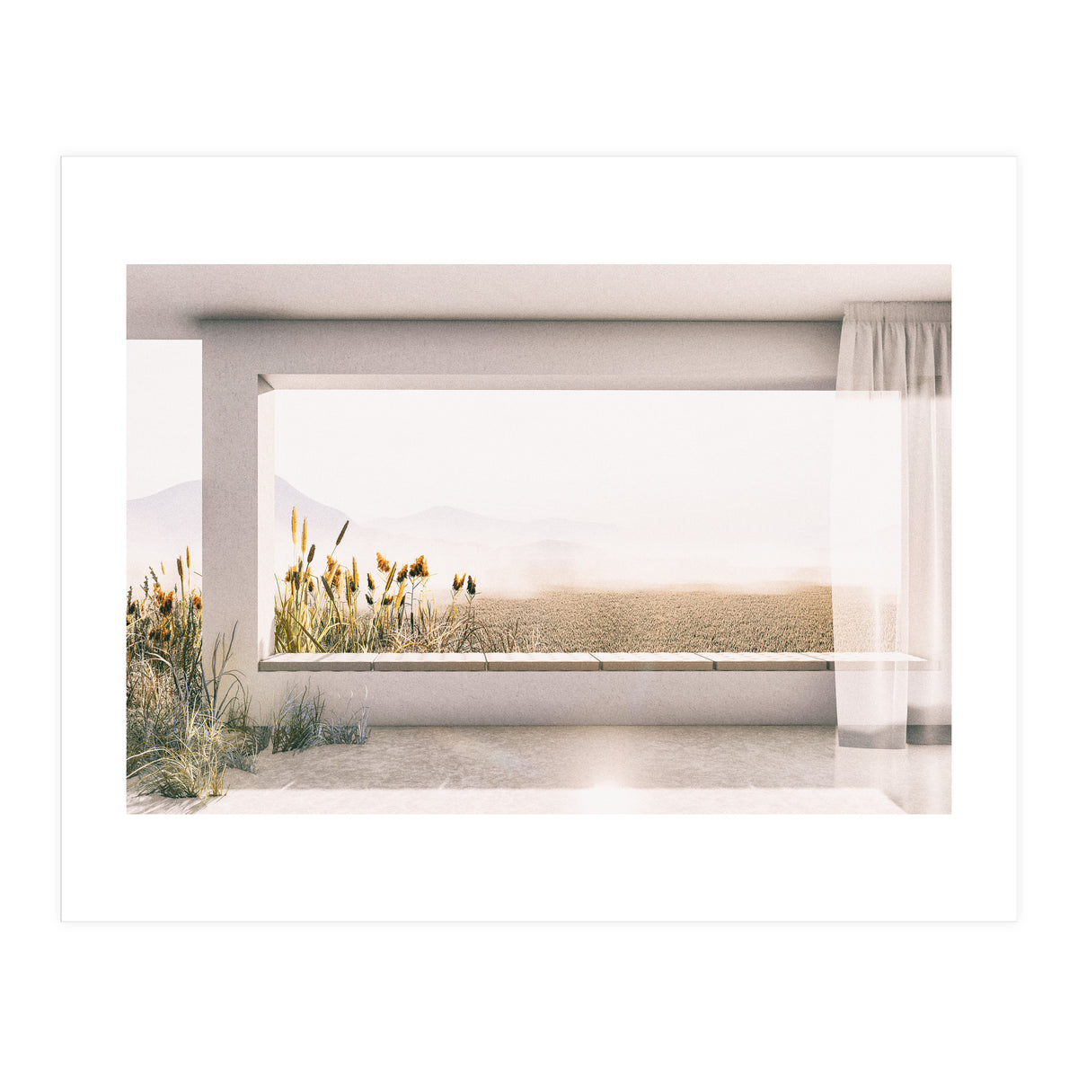 GRASS BY THE WINDOW (Print Only)
