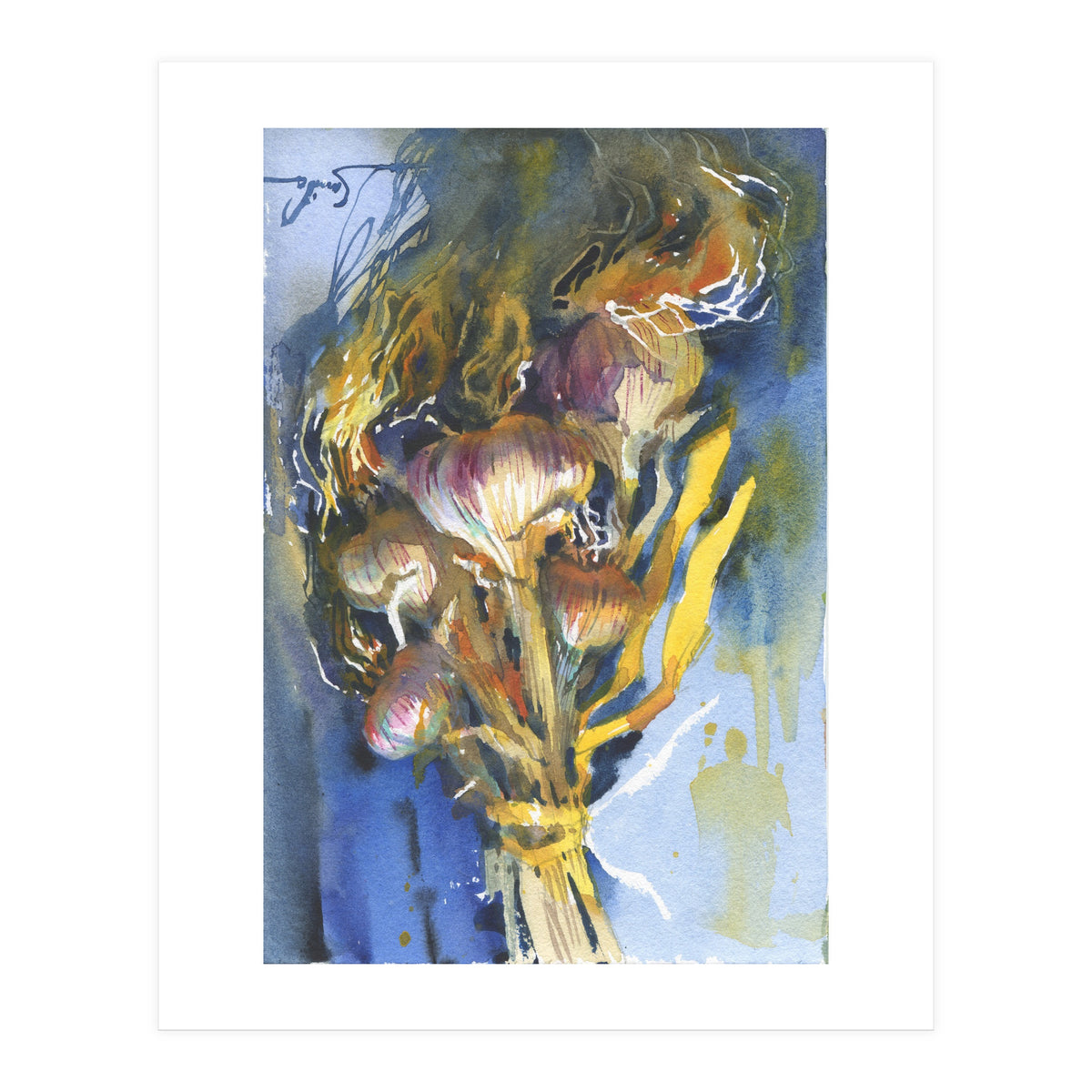 Sunny still life Garlic (Print Only)