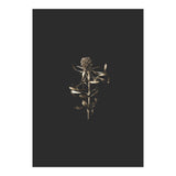 Golden Botanicals (Print Only) thumbnail