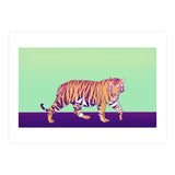 Tiger Under The Sun (Print Only) thumbnail
