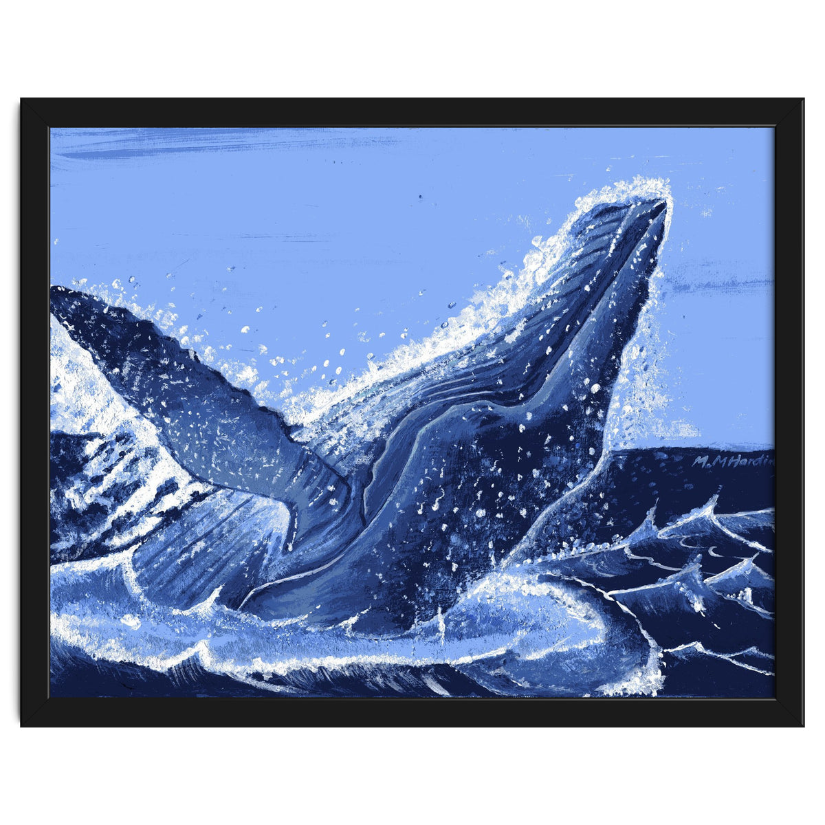 Humpback Whale Breaching