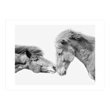 Horse Love in Iceland (Print Only) thumbnail