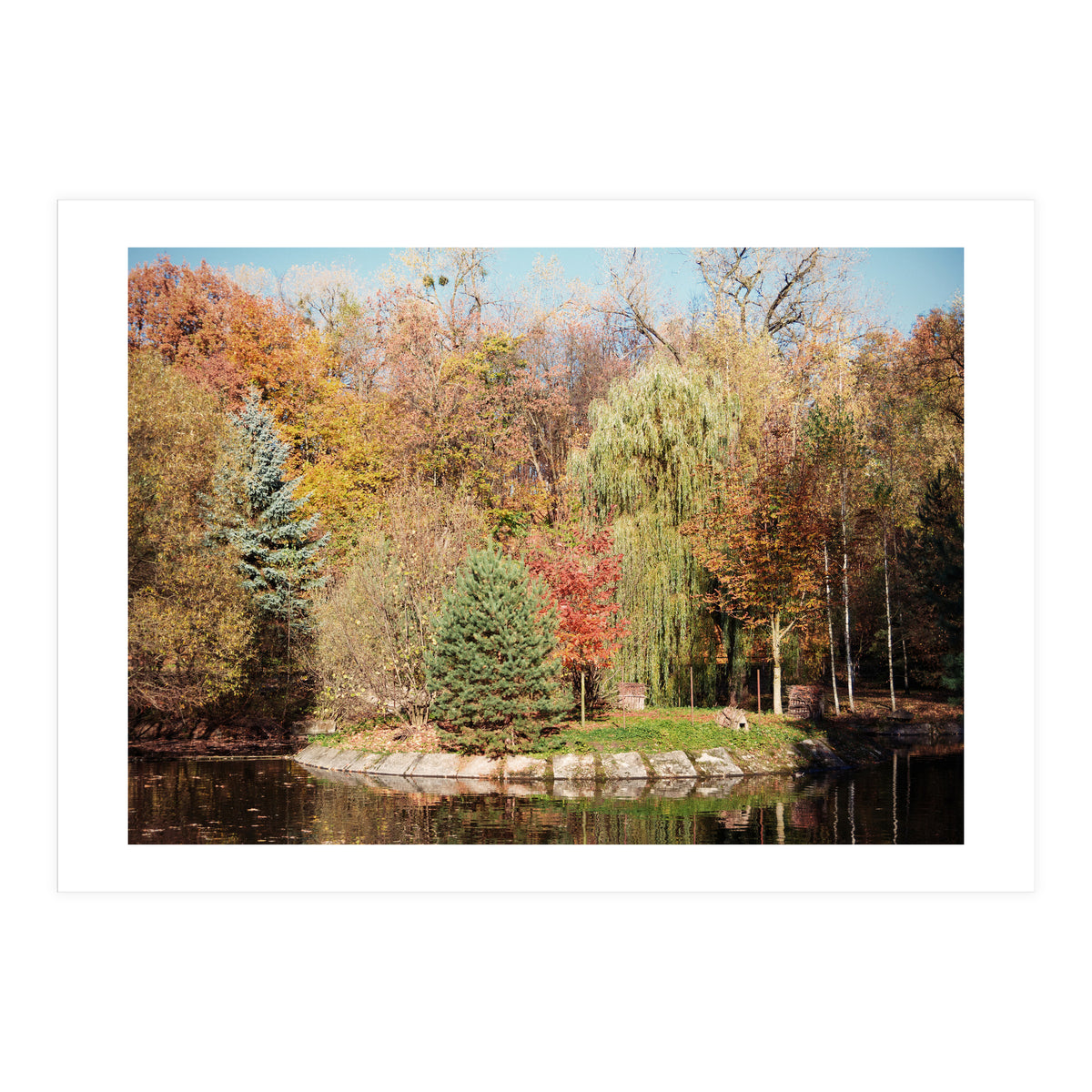 Camouflaged Animals (Print Only)