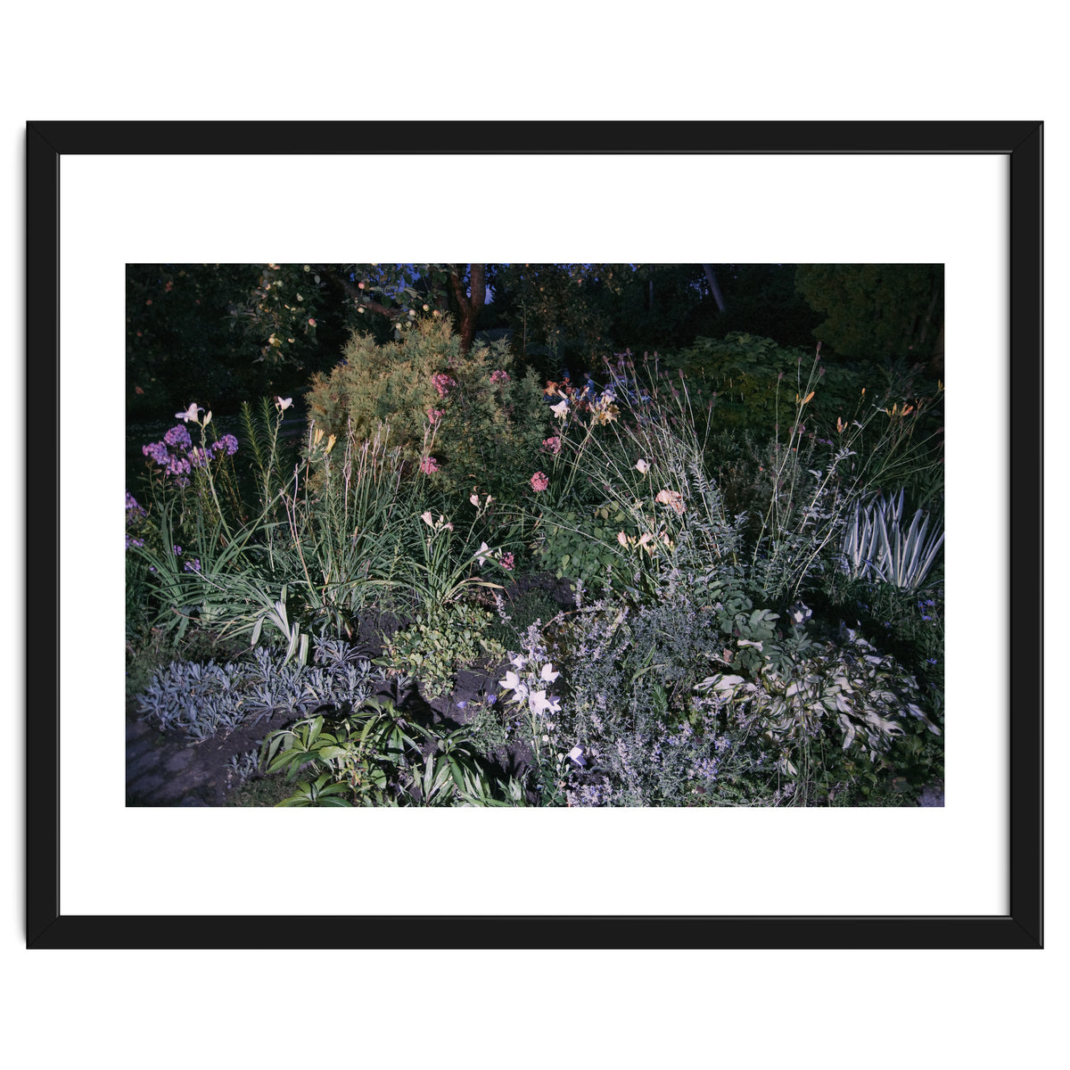 Picture Postcard Perfect