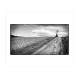 Lonely tree (Print Only) thumbnail