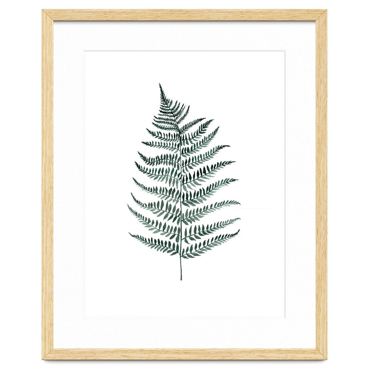 Botanical Illustration Silverfern
