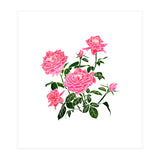Rose V2 Art Print (Print Only) thumbnail