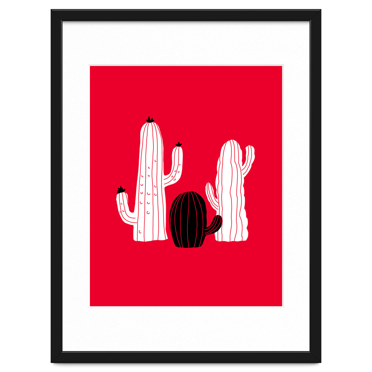 Cactus
