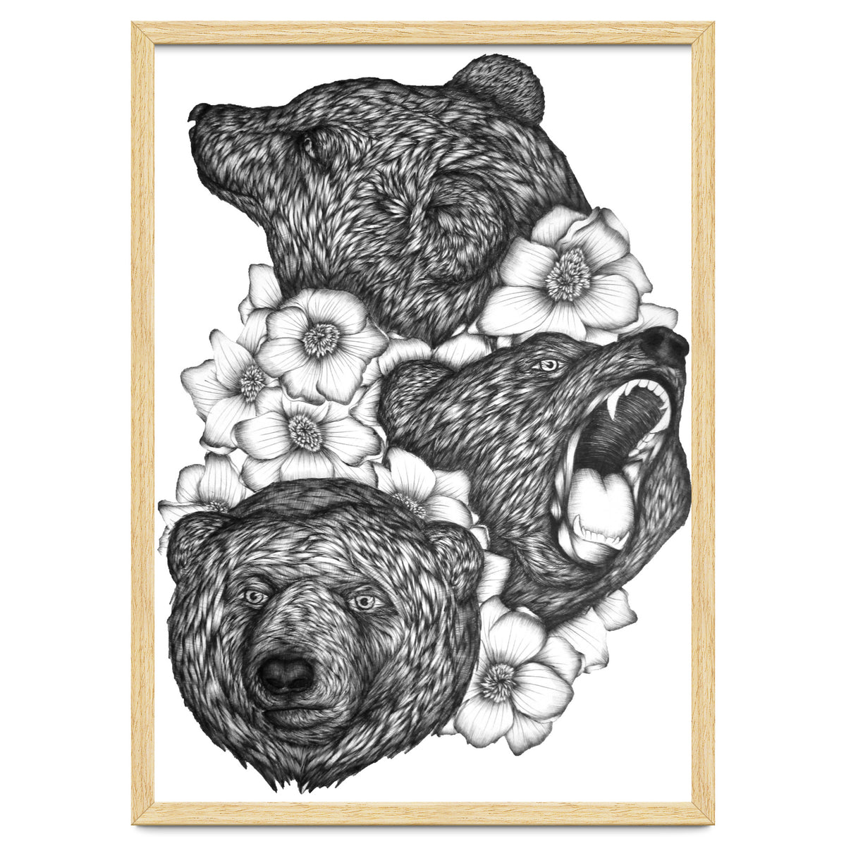 Bears In Bears