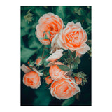 Seasons Blossom (Print Only) thumbnail