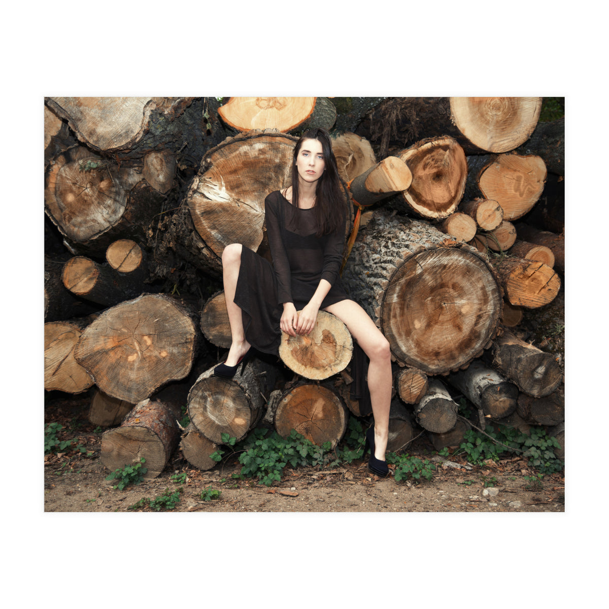 Slow Dancing Society (Print Only)