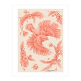 Crockery Print (Print Only) thumbnail