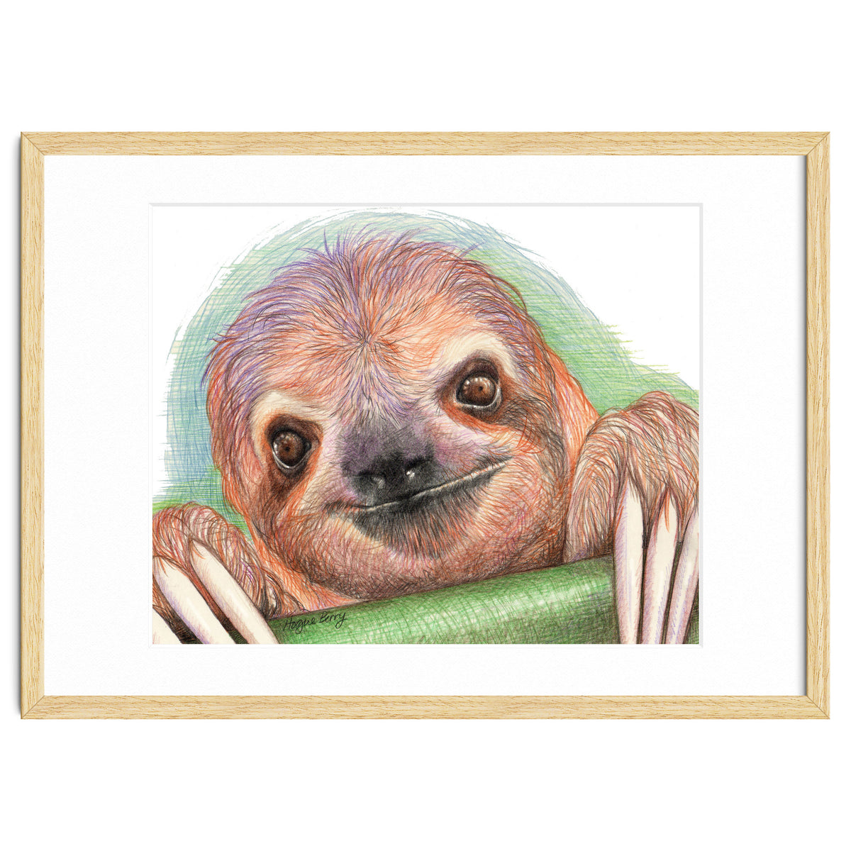 Smiling Sloth