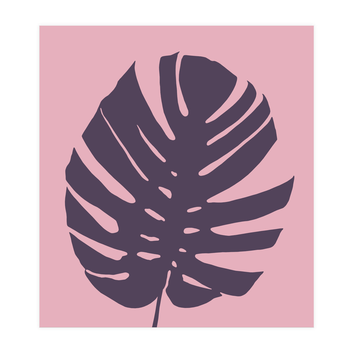 Monstera Deliciosa III (Print Only)