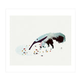 Anteater (Print Only) thumbnail
