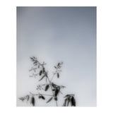 Forgotten Memories of Summer #17 (Print Only) thumbnail