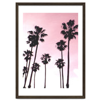 Palms & Sunset