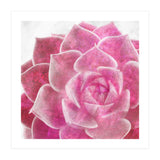 Rough Beauty 4 (Print Only) thumbnail