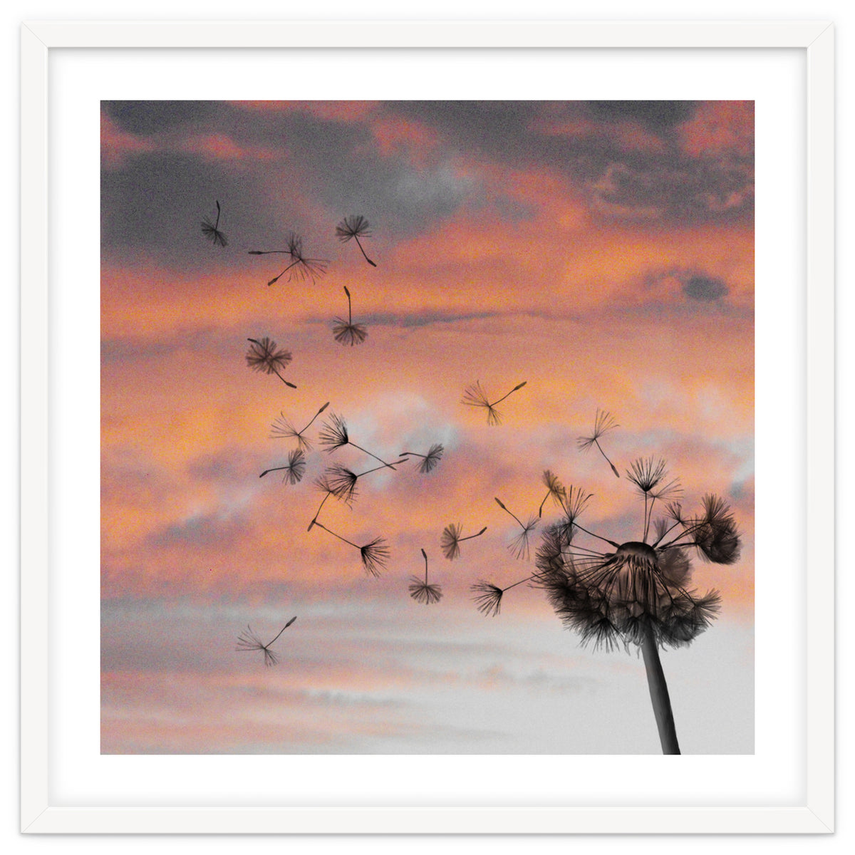 And The Days Went By