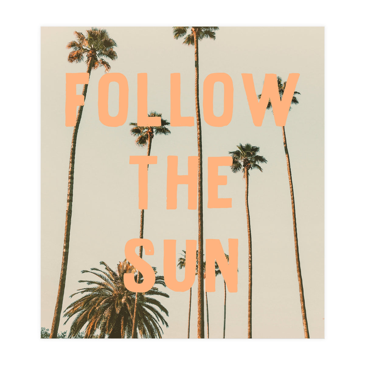 Follow The Sun (Print Only)
