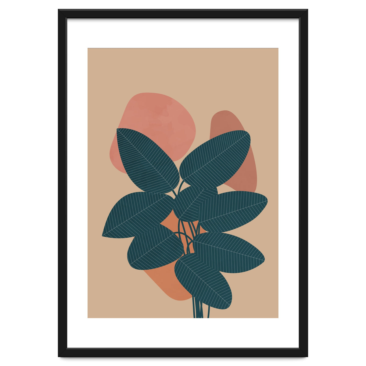 Rubber Plant Boho Botanical